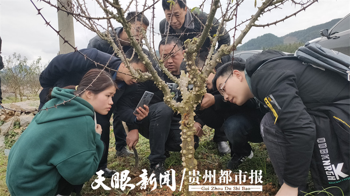 1651578340653196.jpg W020220503657628795441.jpg